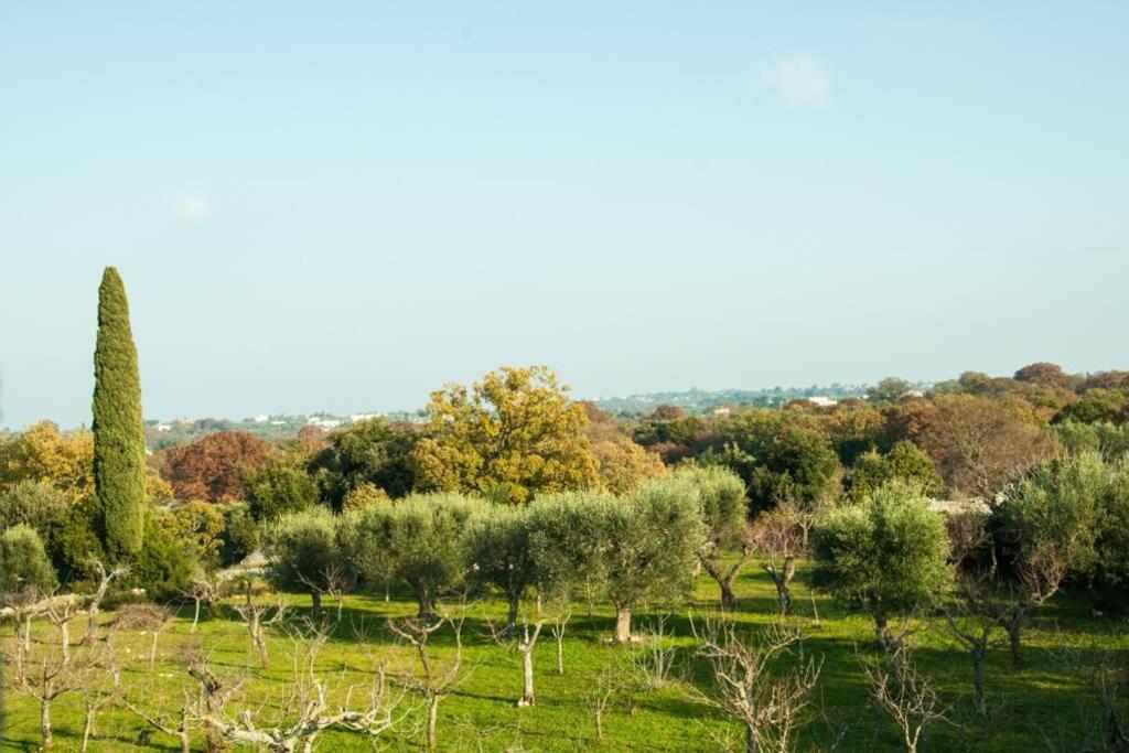 Il Pero Villa Monopoli Eksteriør bilde